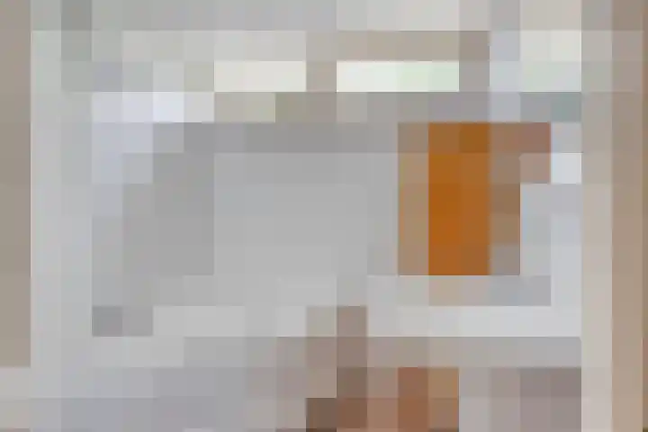 Vliet 12 Maasdam thumbnail 27