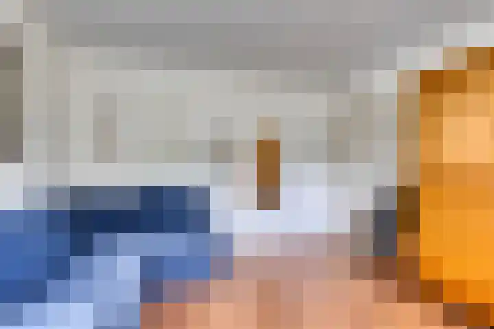 Vliet 12 Maasdam thumbnail 30