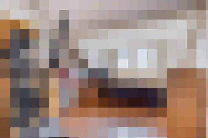 Vliet 12 Maasdam thumbnail 32