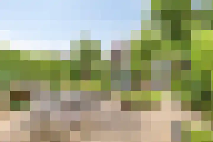 Vliet 12 Maasdam thumbnail 34