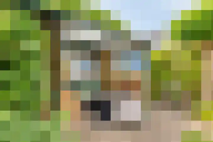 Vliet 12 Maasdam thumbnail 36