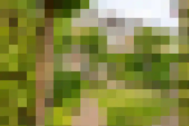 Vliet 12 Maasdam thumbnail 37