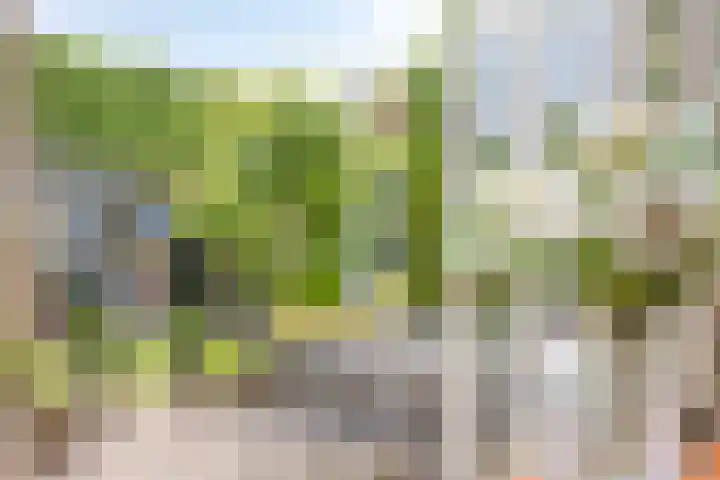 Vliet 12 Maasdam thumbnail 5