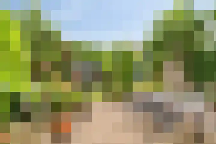 Vliet 12 Maasdam thumbnail 6