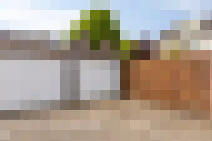 Vliet 12 Maasdam thumbnail 7