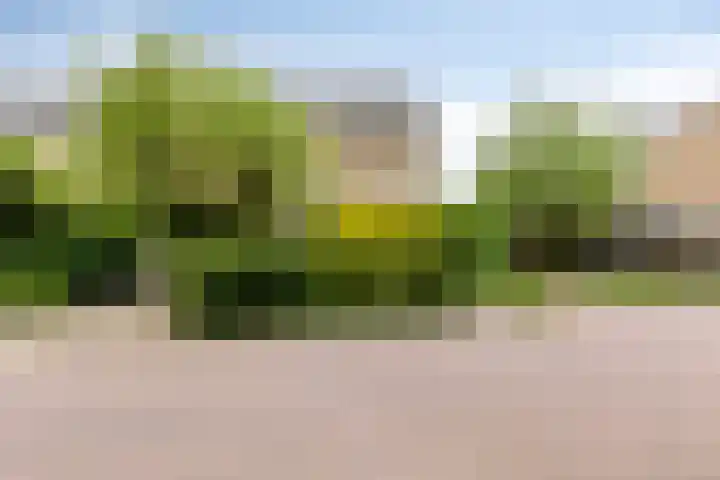 Vliet 12 Maasdam thumbnail 8