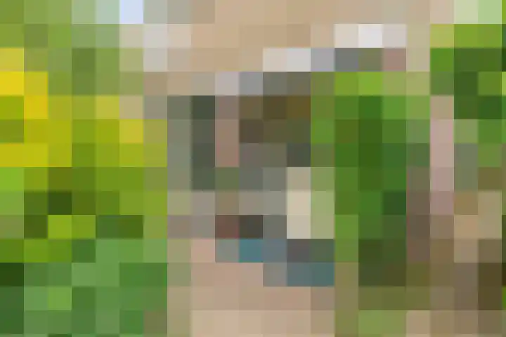 Vliet 12 Maasdam thumbnail 9