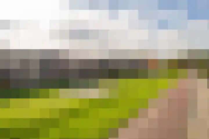 Vliet 15 Tiel thumbnail 10