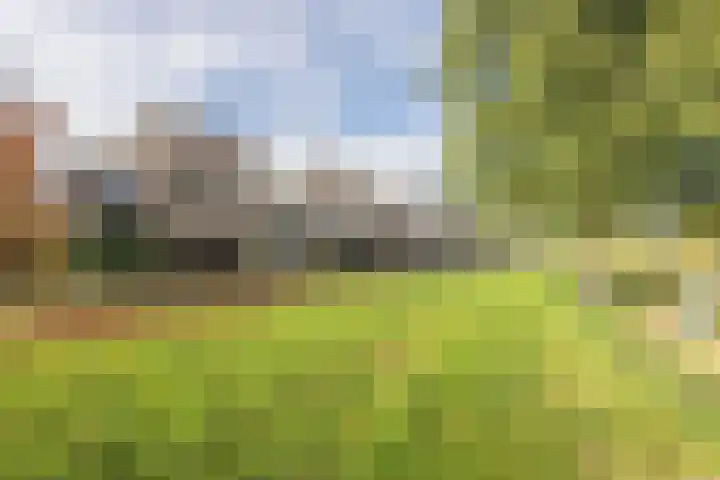 Vliet 15 Tiel thumbnail 11