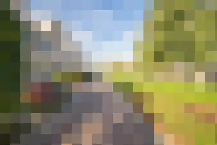Vliet 15 Tiel thumbnail 12