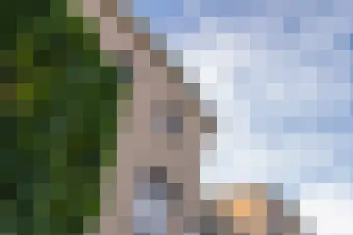 Vliet 15 Tiel thumbnail 13