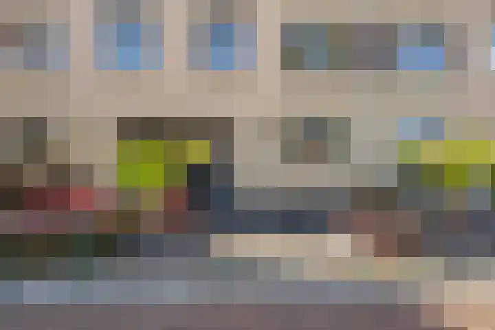 Vliet 15 Tiel thumbnail 14