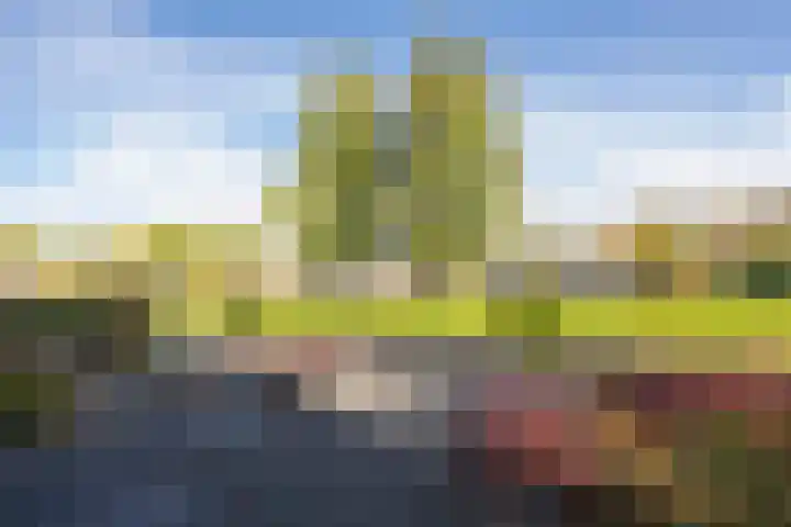 Vliet 15 Tiel thumbnail 15