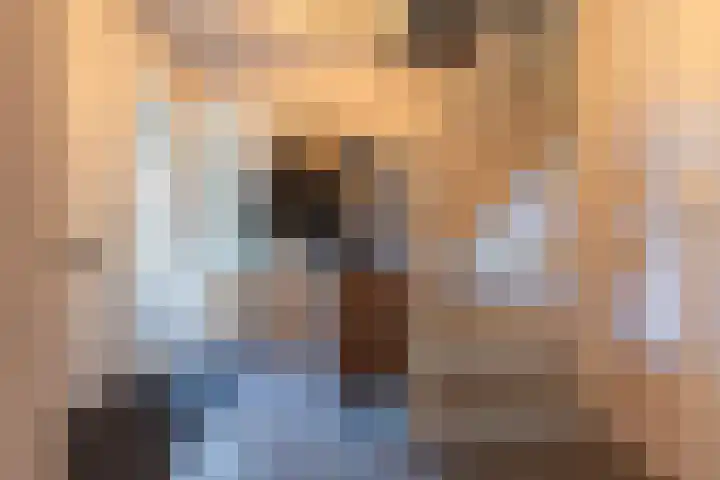 Vliet 15 Tiel thumbnail 16