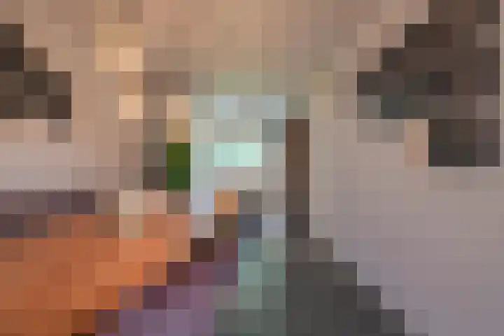 Vliet 15 Tiel thumbnail 19
