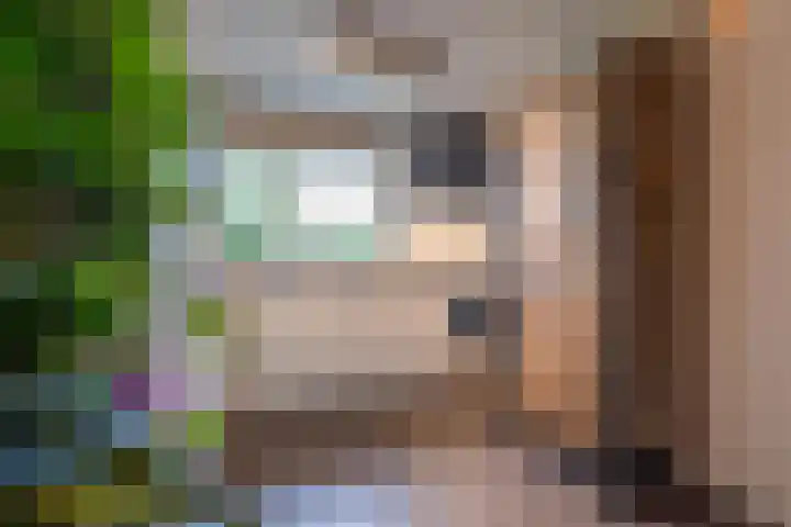 Vliet 15 Tiel thumbnail 21