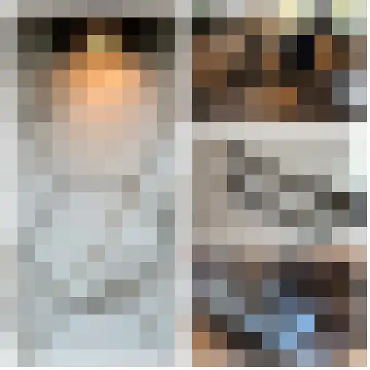 Vliet 15 Tiel thumbnail 27