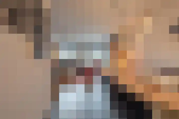 Vliet 15 Tiel thumbnail 28