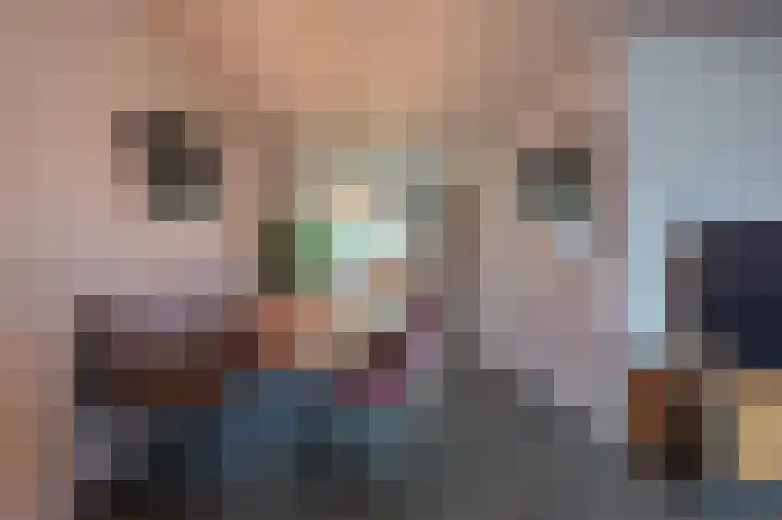 Vliet 15 Tiel thumbnail 33