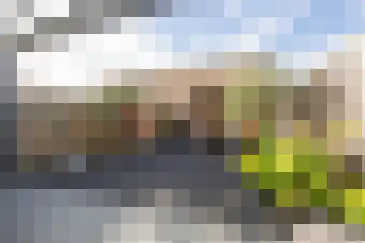 Vliet 15 Tiel thumbnail 35