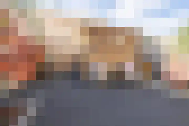 Vliet 15 Tiel thumbnail 39