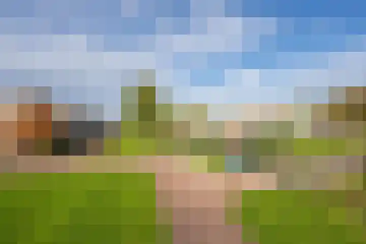 Vliet 15 Tiel thumbnail 4