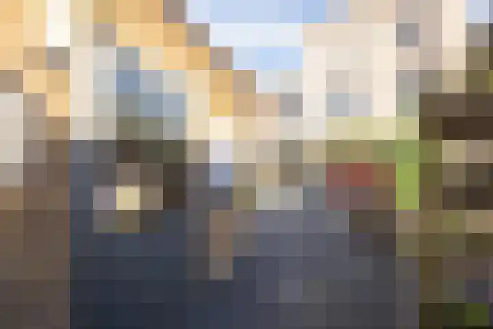 Vliet 15 Tiel thumbnail 41