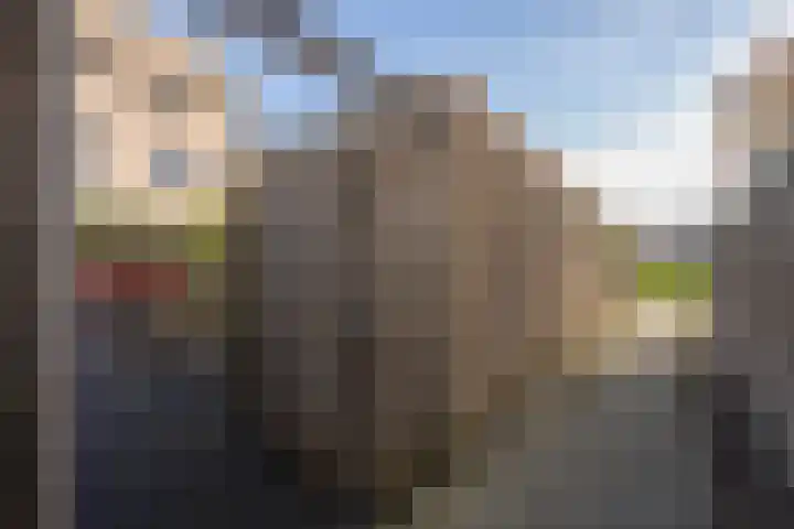 Vliet 15 Tiel thumbnail 42