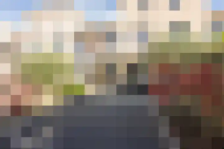 Vliet 15 Tiel thumbnail 43