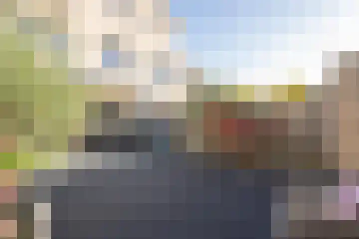 Vliet 15 Tiel thumbnail 45