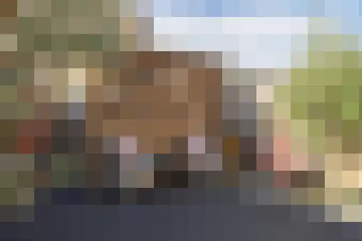 Vliet 15 Tiel thumbnail 48