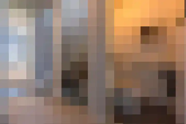 Vliet 15 Tiel thumbnail 49