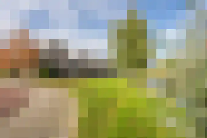 Vliet 15 Tiel thumbnail 5