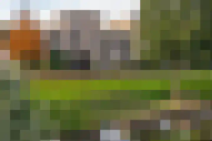 Vliet 15 Tiel thumbnail 6