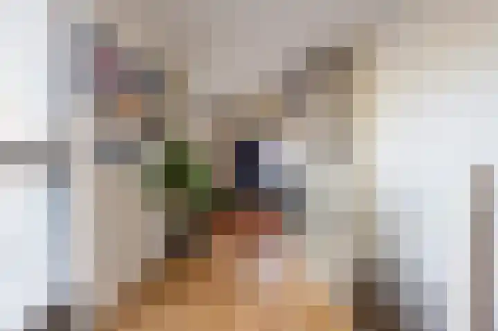 Vliet 15 Tiel thumbnail 61