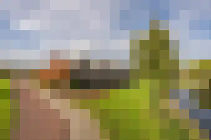 Vliet 15 Tiel thumbnail 62