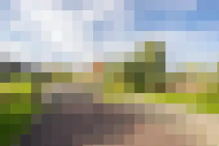 Vliet 15 Tiel thumbnail 63