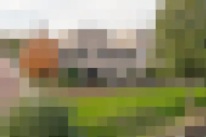 Vliet 15 Tiel thumbnail 64