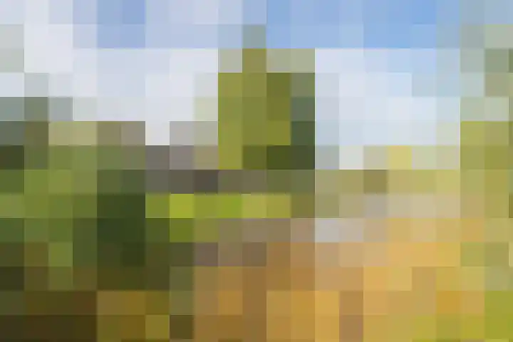 Vliet 15 Tiel thumbnail 7