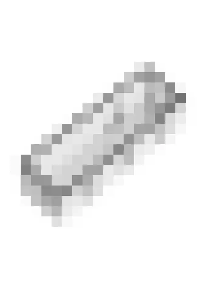 Vliet 15 Tiel thumbnail 70