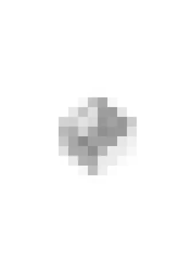 Vliet 15 Tiel thumbnail 72
