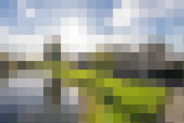 Vliet 15 Tiel thumbnail 8