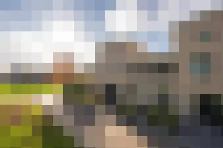 Vliet 15 Tiel thumbnail 9