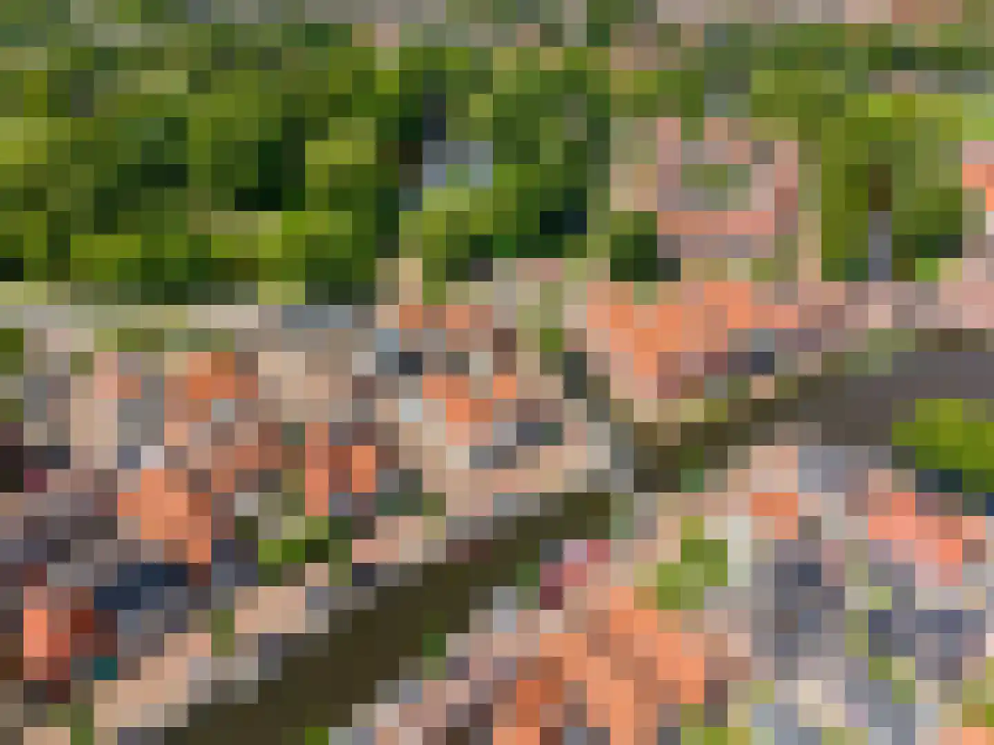 Vliet 2 Franeker thumbnail 10