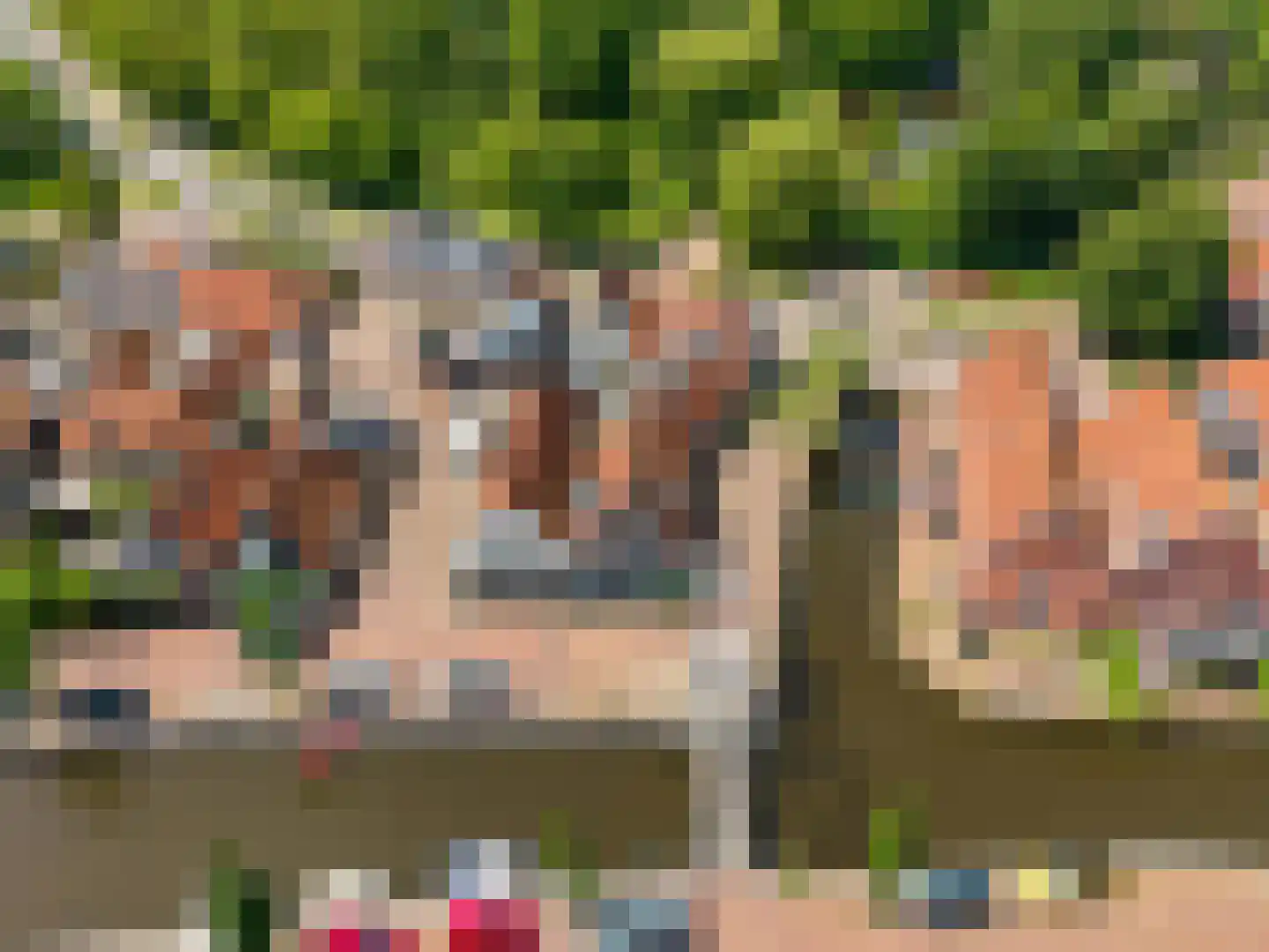 Vliet 2 Franeker thumbnail 11