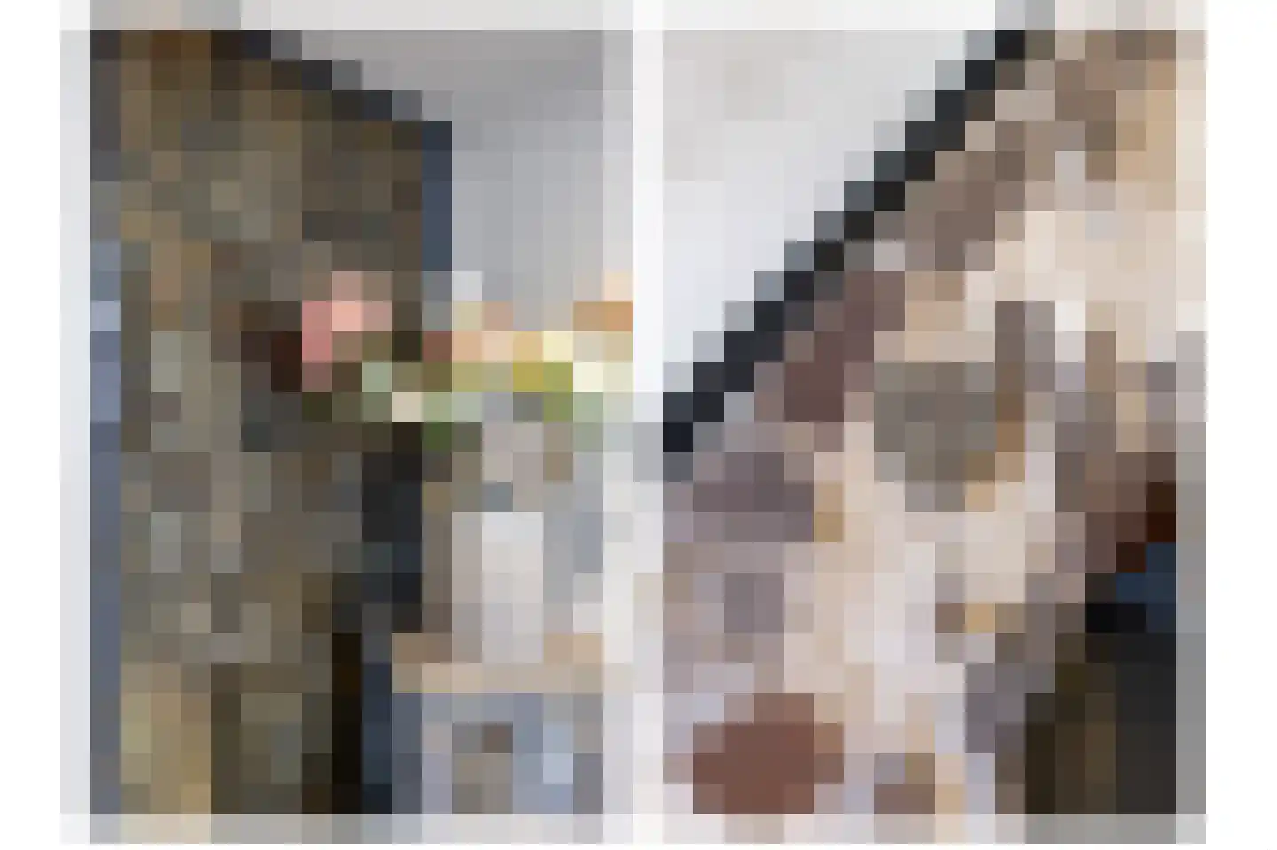 Vliet 2 Franeker thumbnail 24