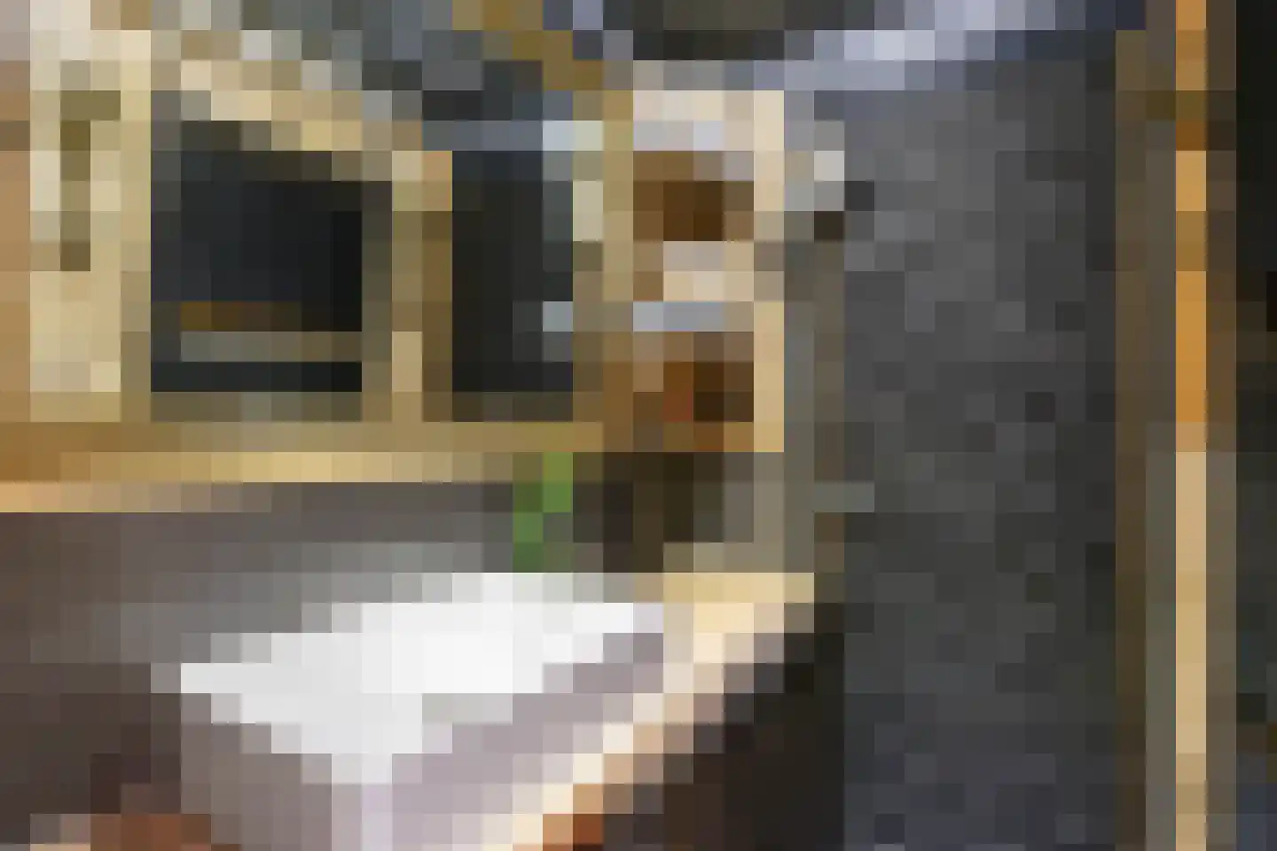 Vliet 2 Franeker thumbnail 46