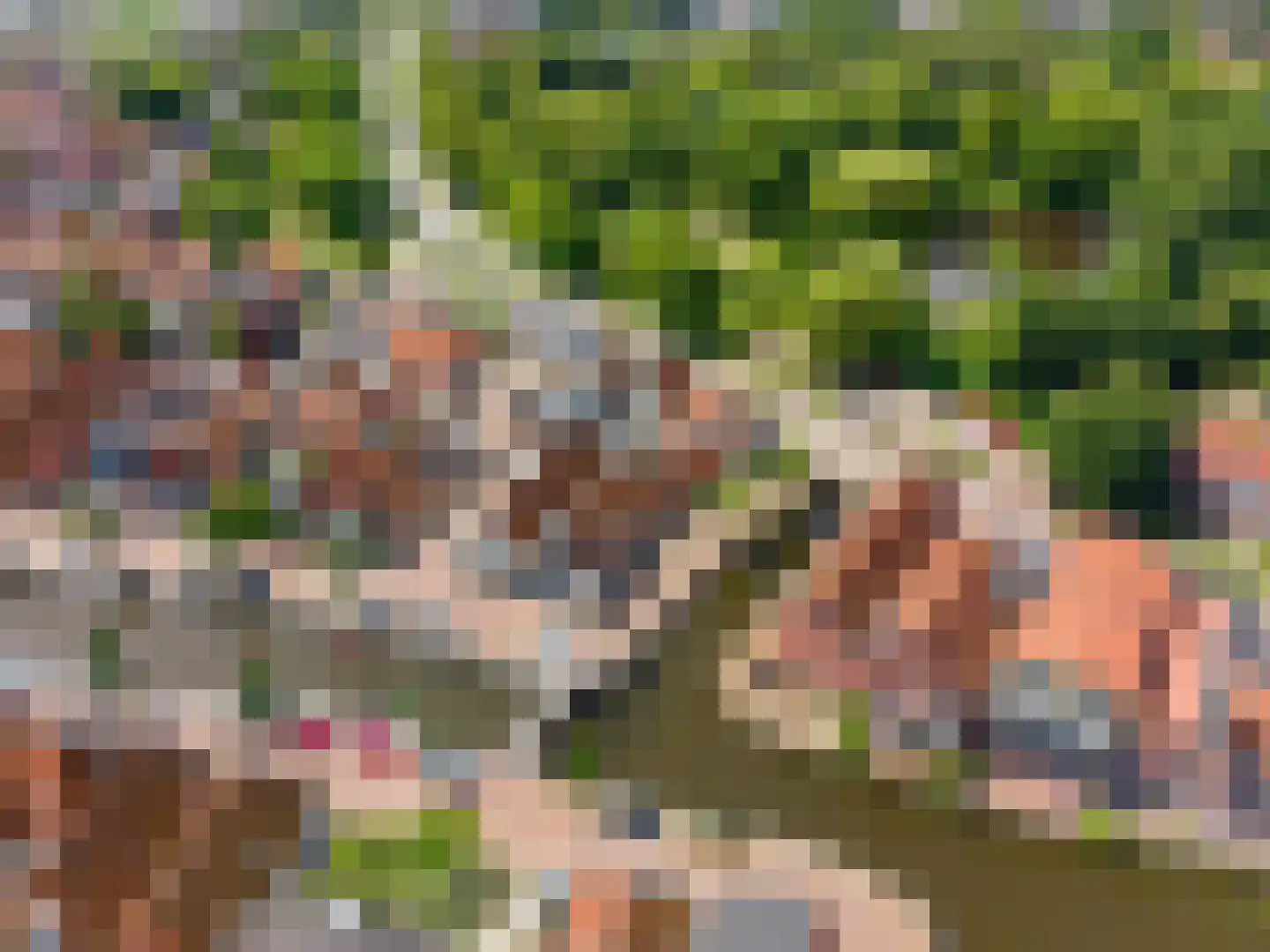 Vliet 2 Franeker thumbnail 69