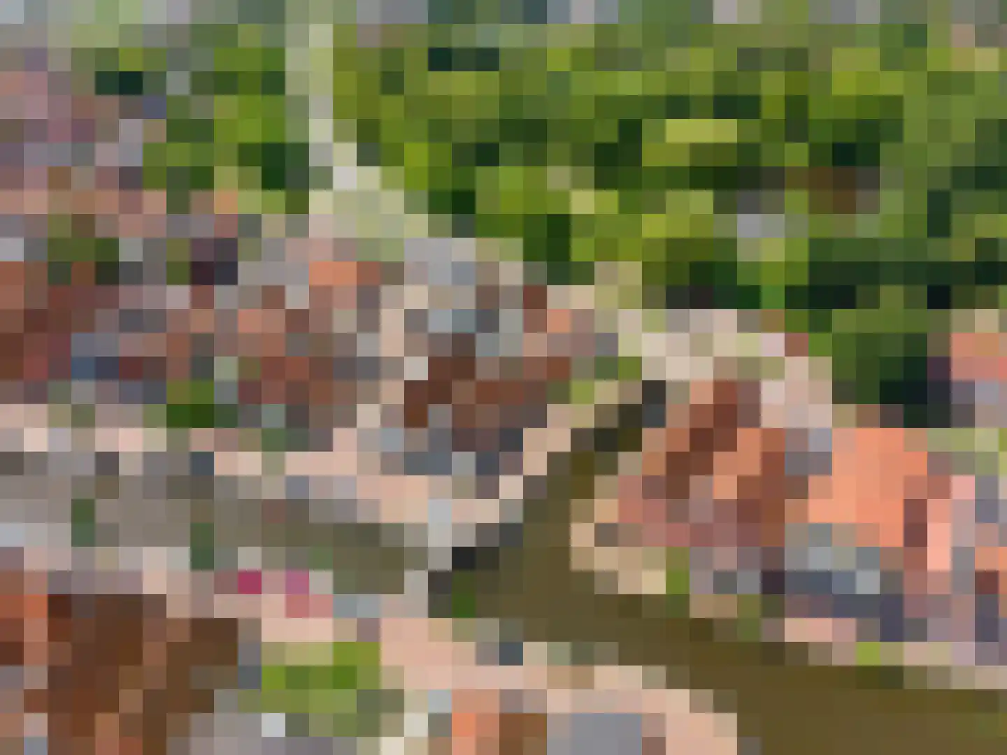 Vliet 2 Franeker thumbnail 7