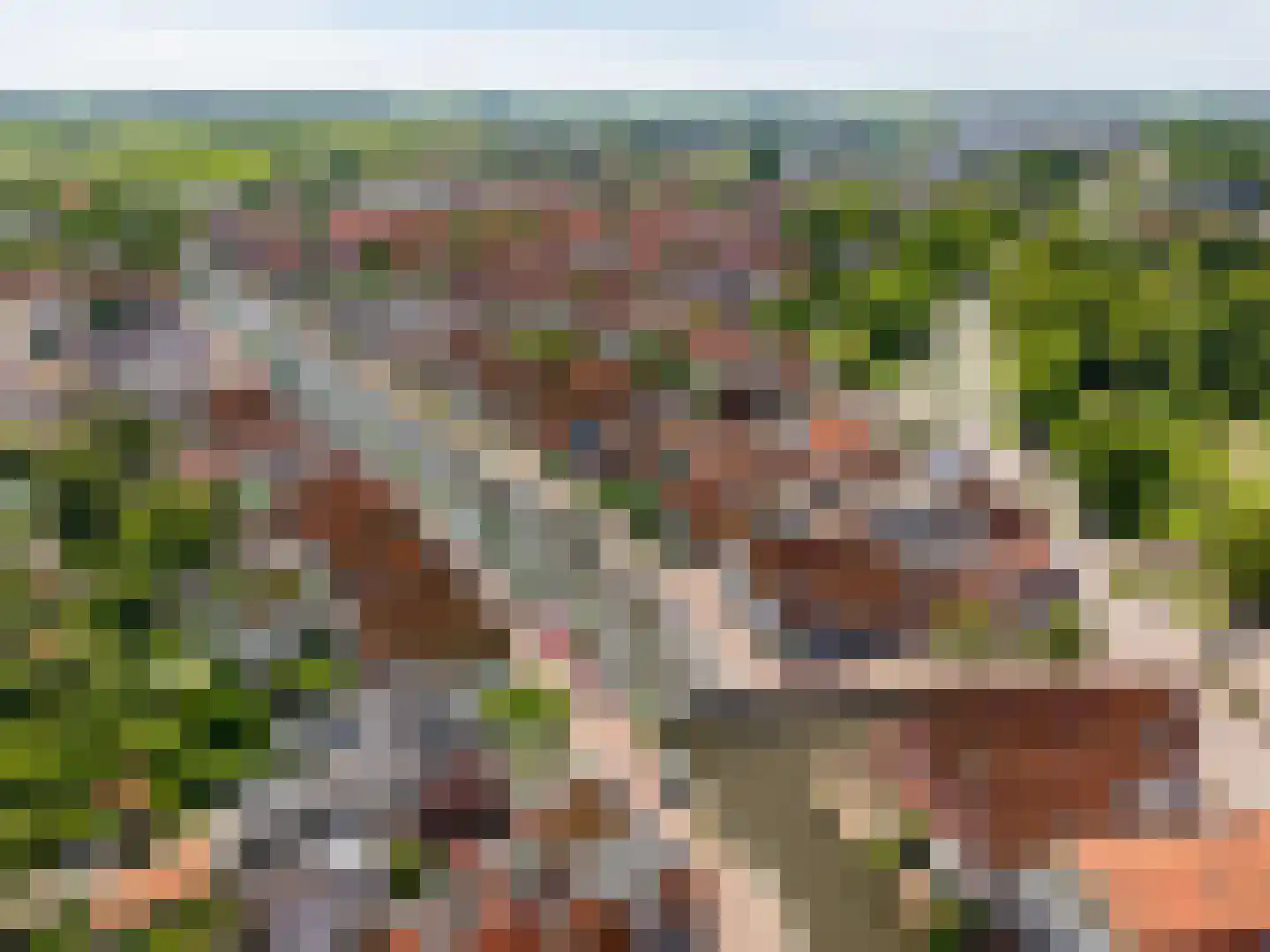 Vliet 2 Franeker thumbnail 9